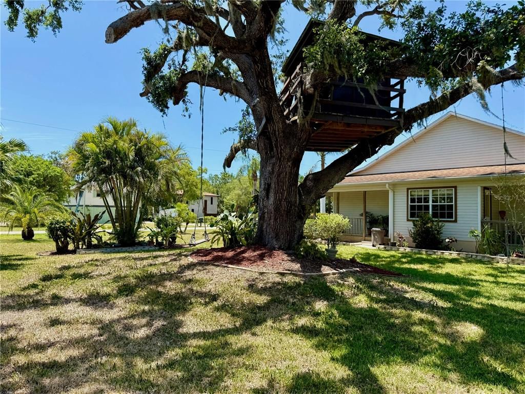 Backyard, Exterior