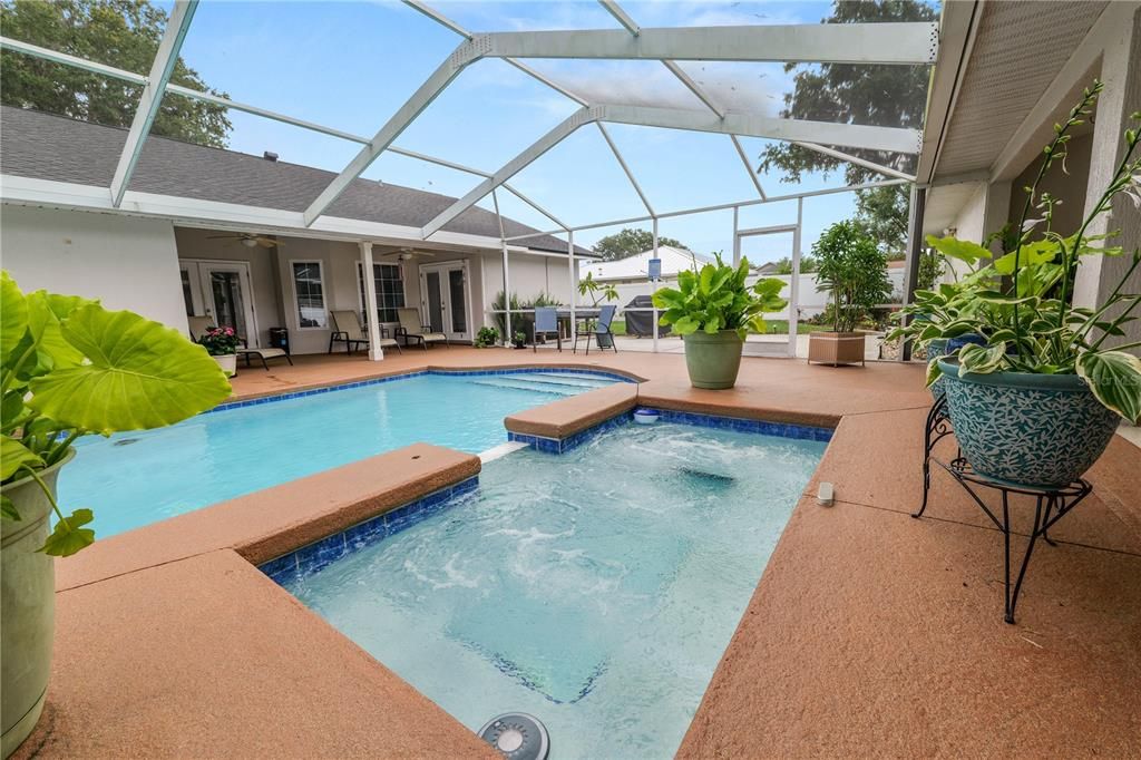 Glass Ceilings, Interior, Pool, Sun Room
