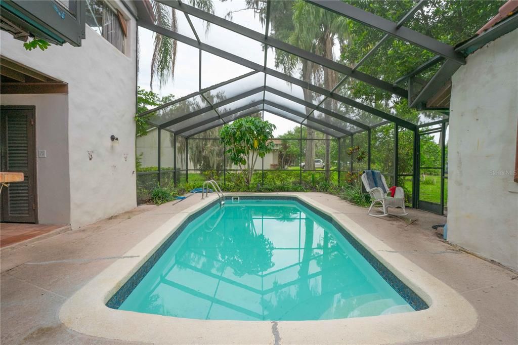 Glass Ceilings, Interior, Pool, Sun Room