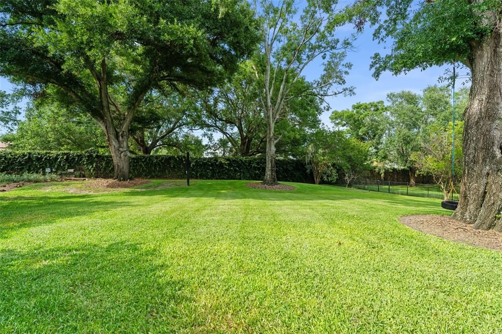 Backyard, Exterior