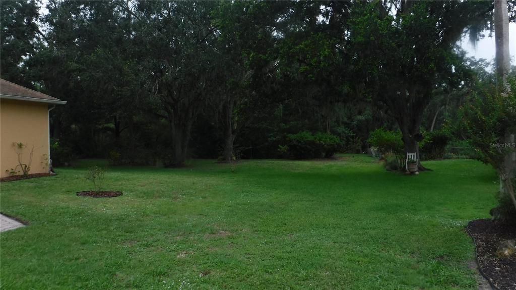 Backyard, Exterior
