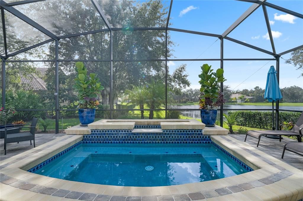 Glass Ceilings, Interior, Pool, Sun Room