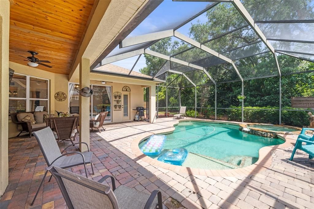 Glass Ceilings, Interior, Pool, Sun Room, Wooden Ceilings