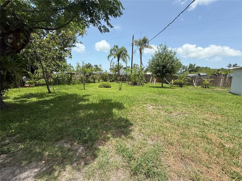 Backyard, Exterior
