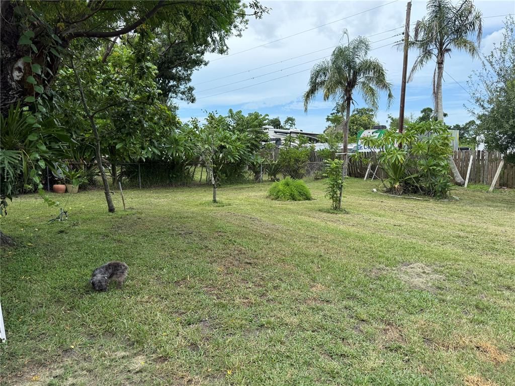 Backyard, Exterior