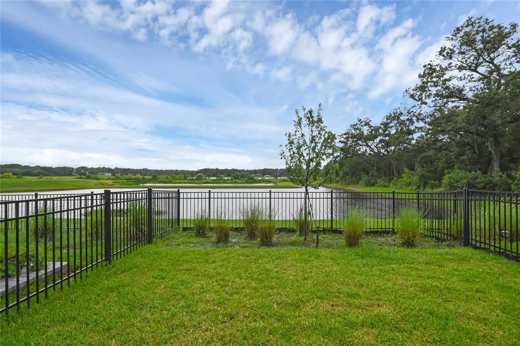 Backyard, Exterior, Water