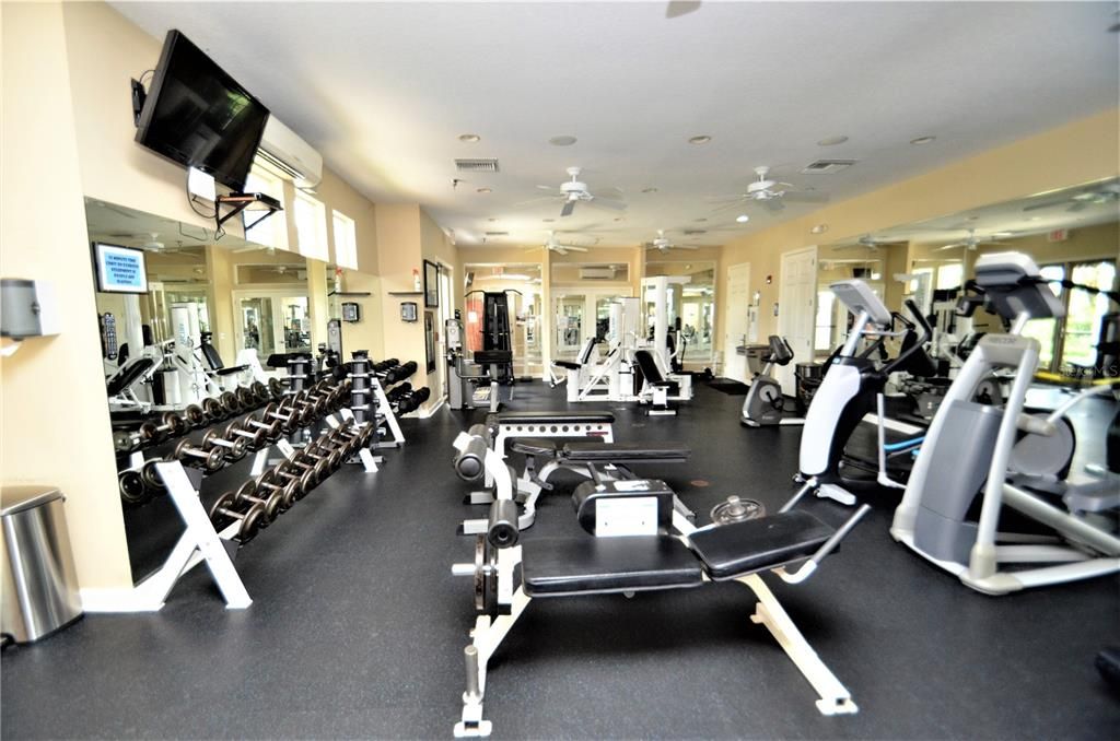 Fitness Equipment, Gym, Interior, Recessed Lighting