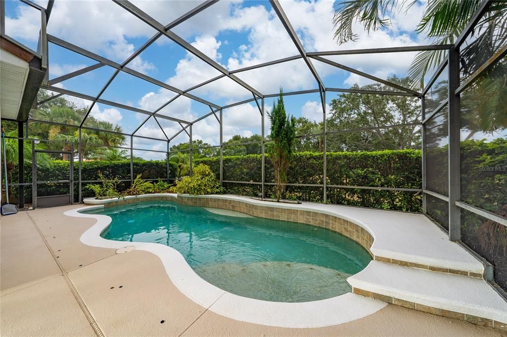 Glass Ceilings, Interior, Pool, Sun Room