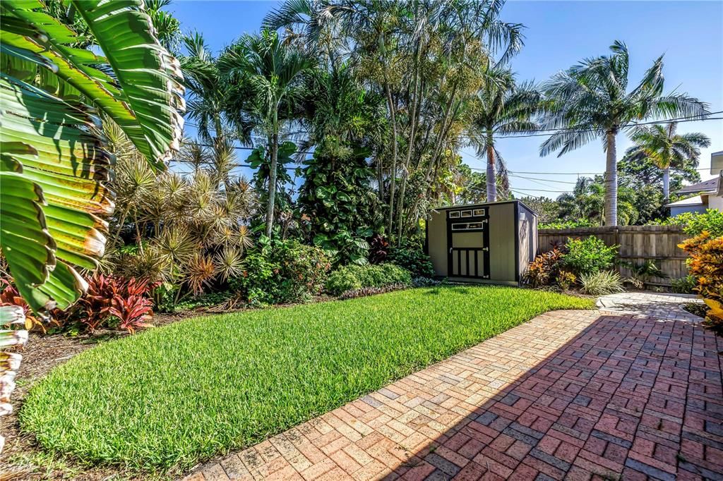 Backyard, Exterior