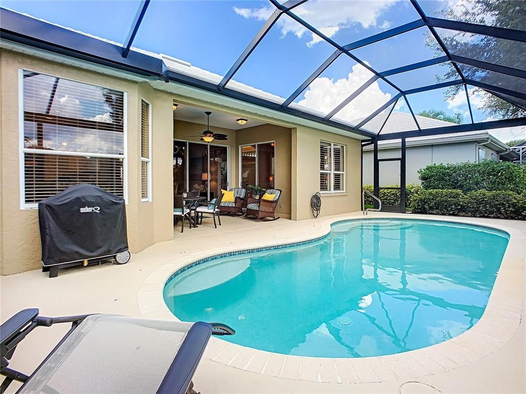 Glass Ceilings, Interior, Pool, Sun Room