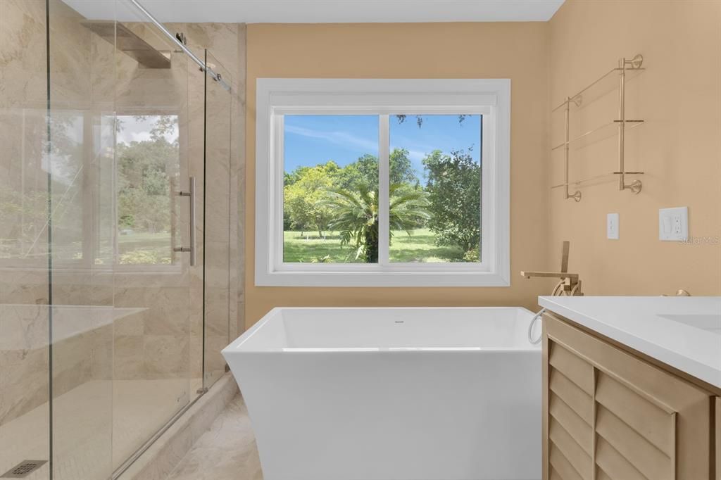 Bathroom, Free Standing Baths, Glass Shower, Interior