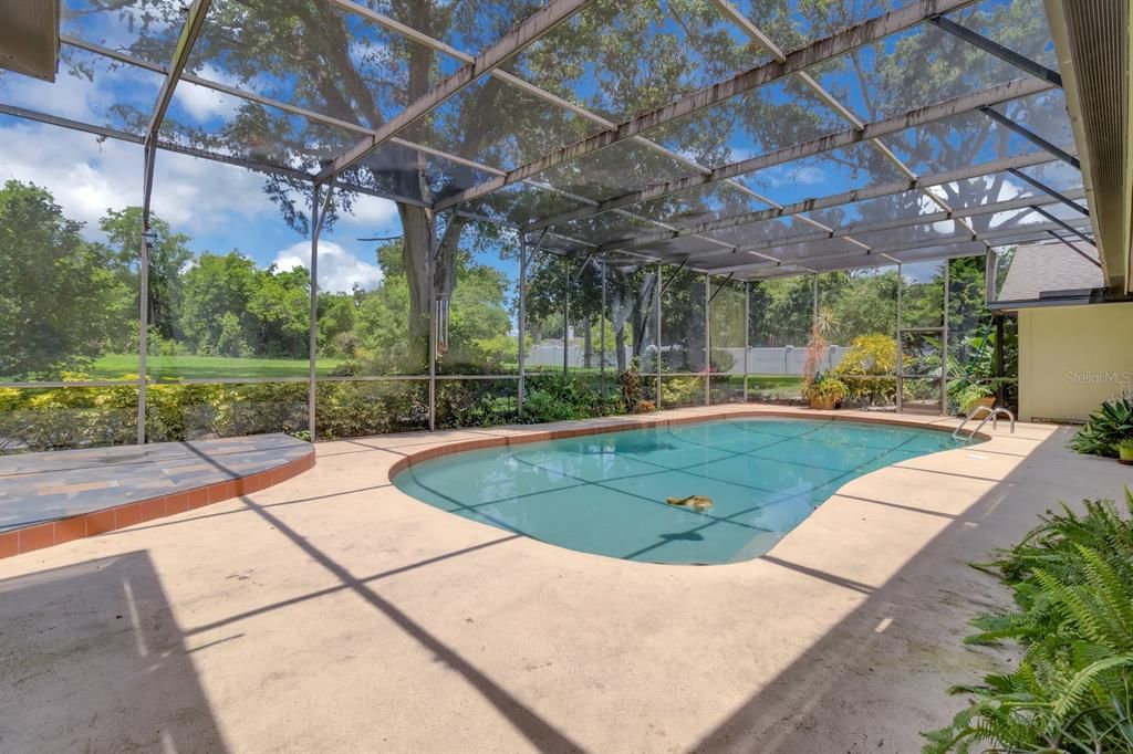 Glass Ceilings, Interior, Pool, Sun Room