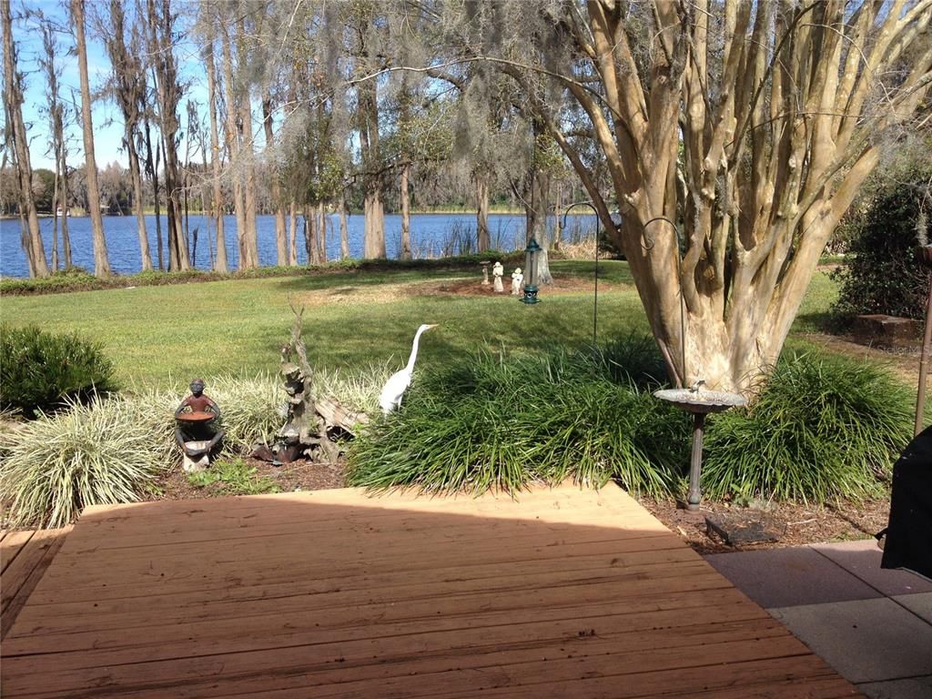 Backyard, Exterior, Water