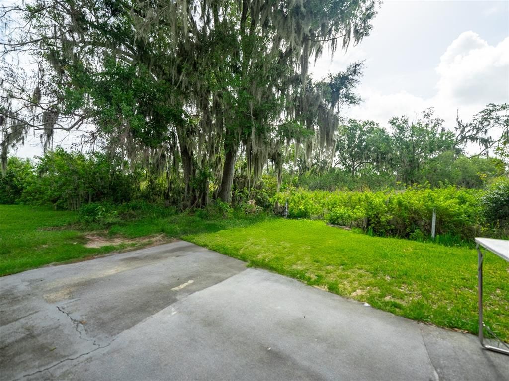 Backyard, Exterior