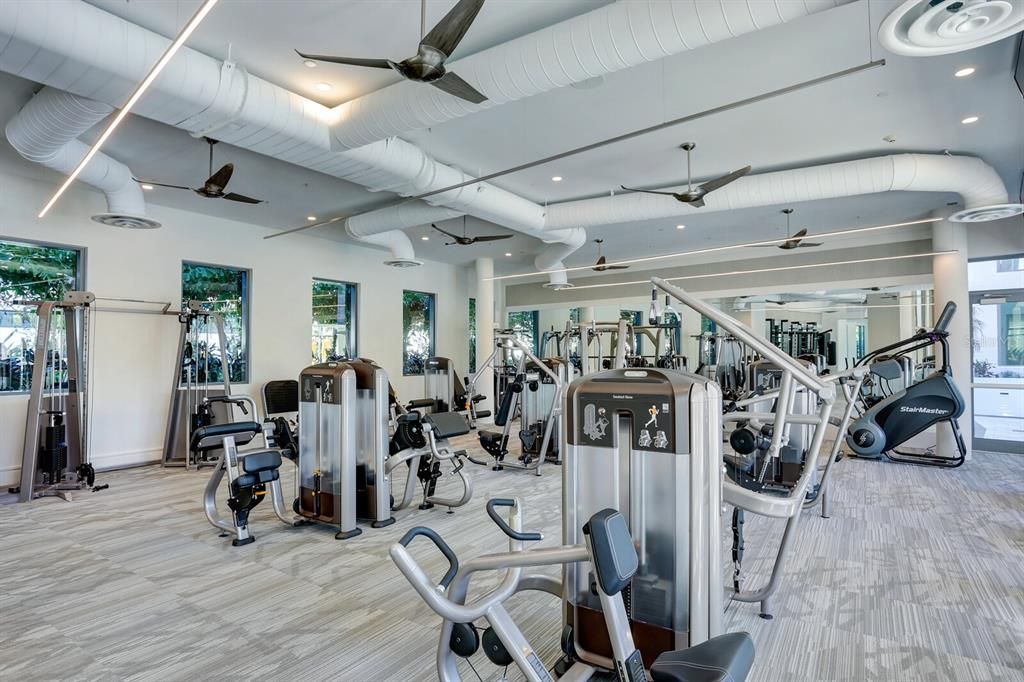 Fitness Equipment, Gym, Interior, Recessed Lighting
