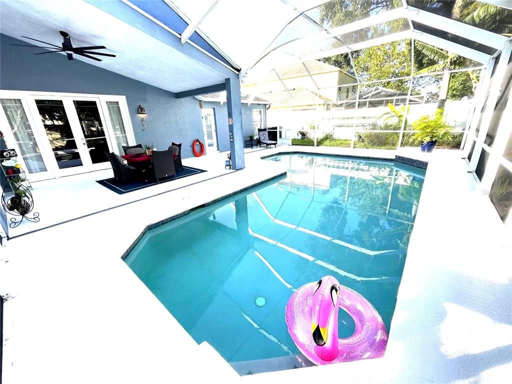 Glass Ceilings, Interior, Pool, Sun Room
