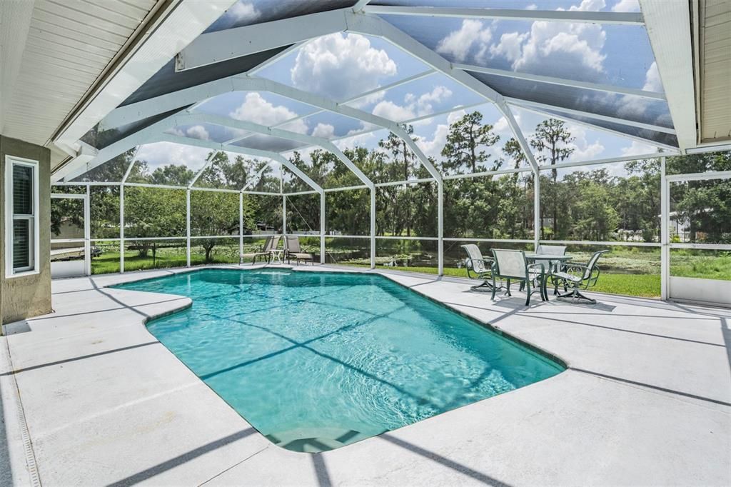 Glass Ceilings, Interior, Pool, Sun Room