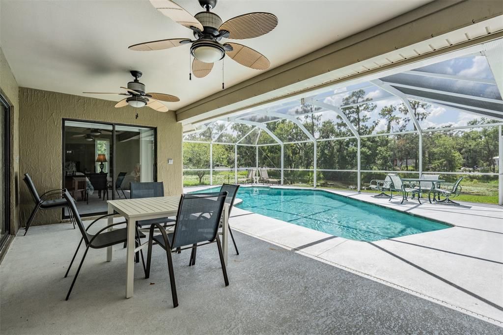 Glass Ceilings, Interior, Pool, Sun Room