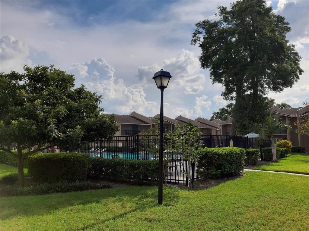 Backyard, Exterior, Pool