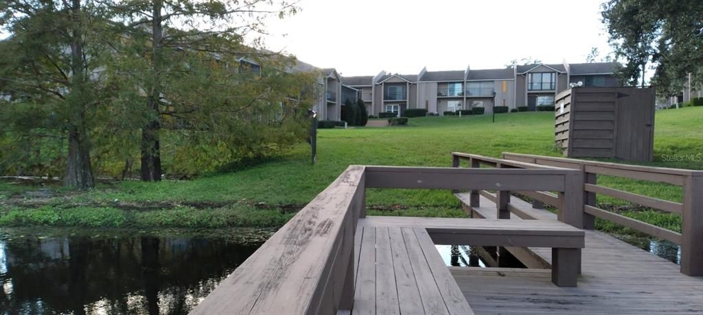 Backyard, Exterior, Water