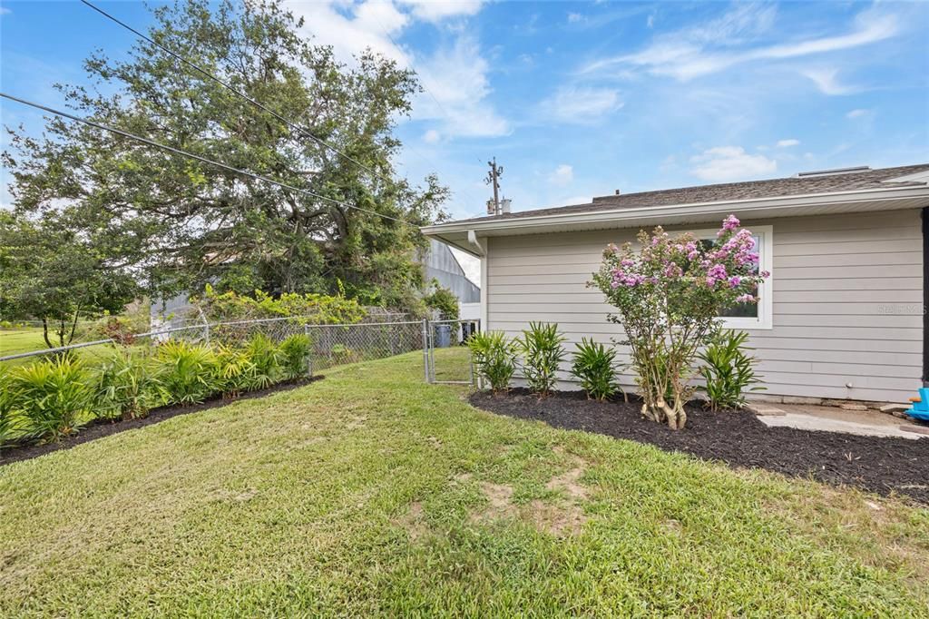 Backyard, Exterior
