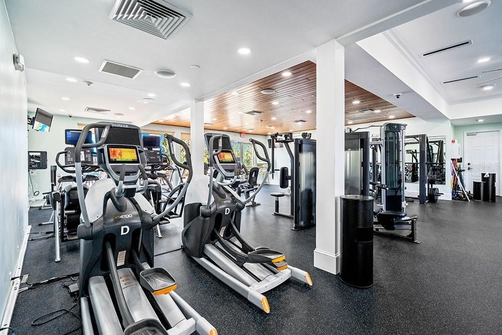 Fitness Equipment, Gym, Interior, Recessed Lighting