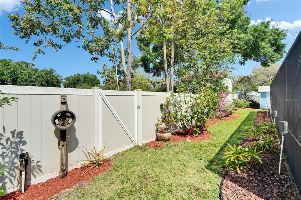 Backyard, Exterior