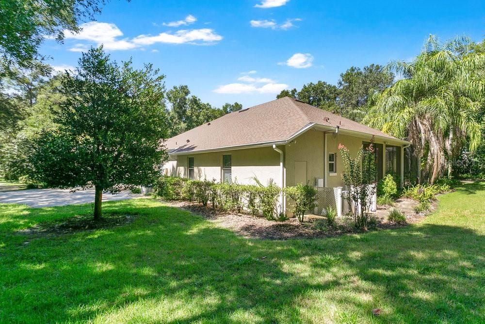 Backyard, Exterior