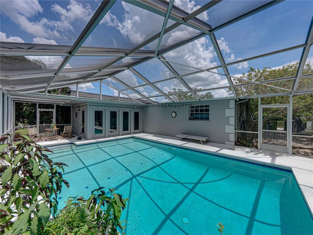 Glass Ceilings, Interior, Pool, Sun Room