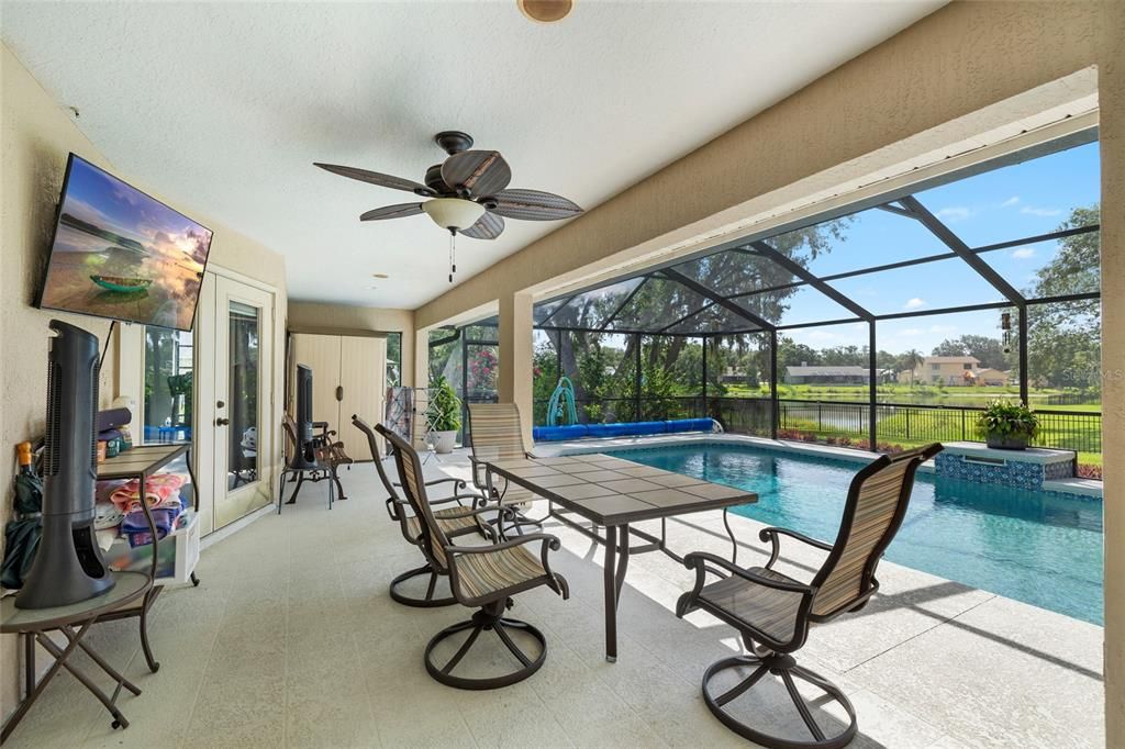 Glass Ceilings, Interior, Pool, Sun Room