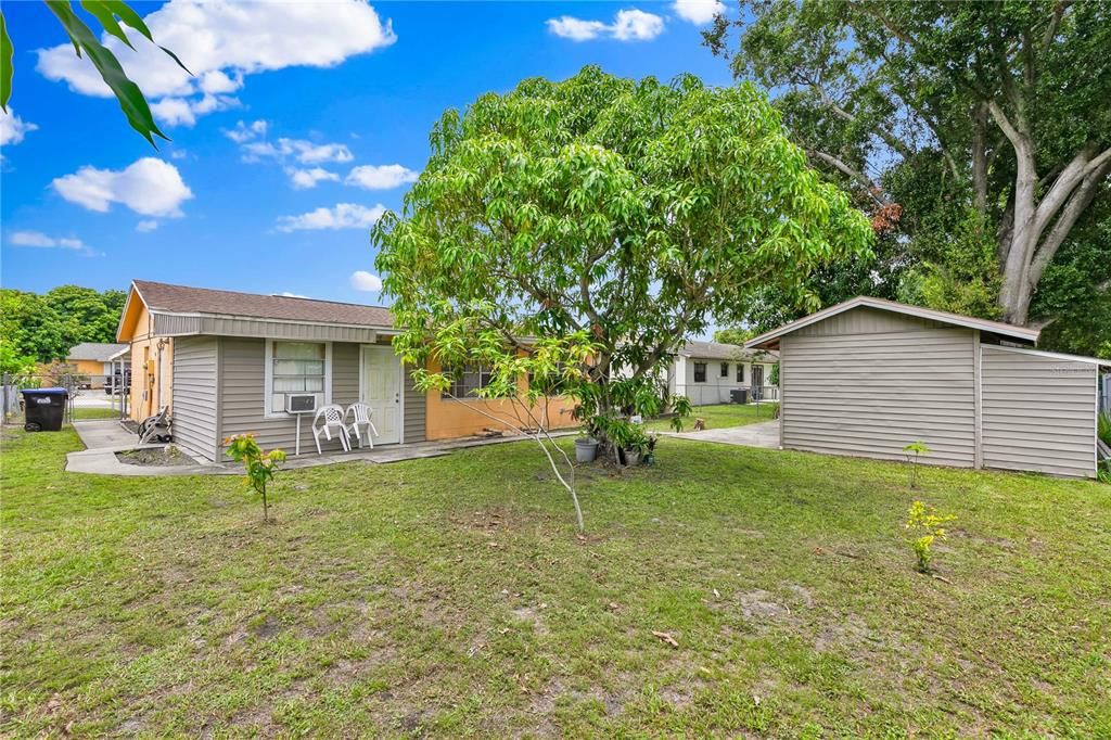 Backyard, Exterior