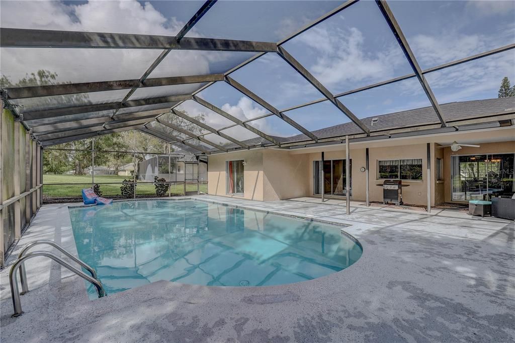 Glass Ceilings, Interior, Pool, Sun Room