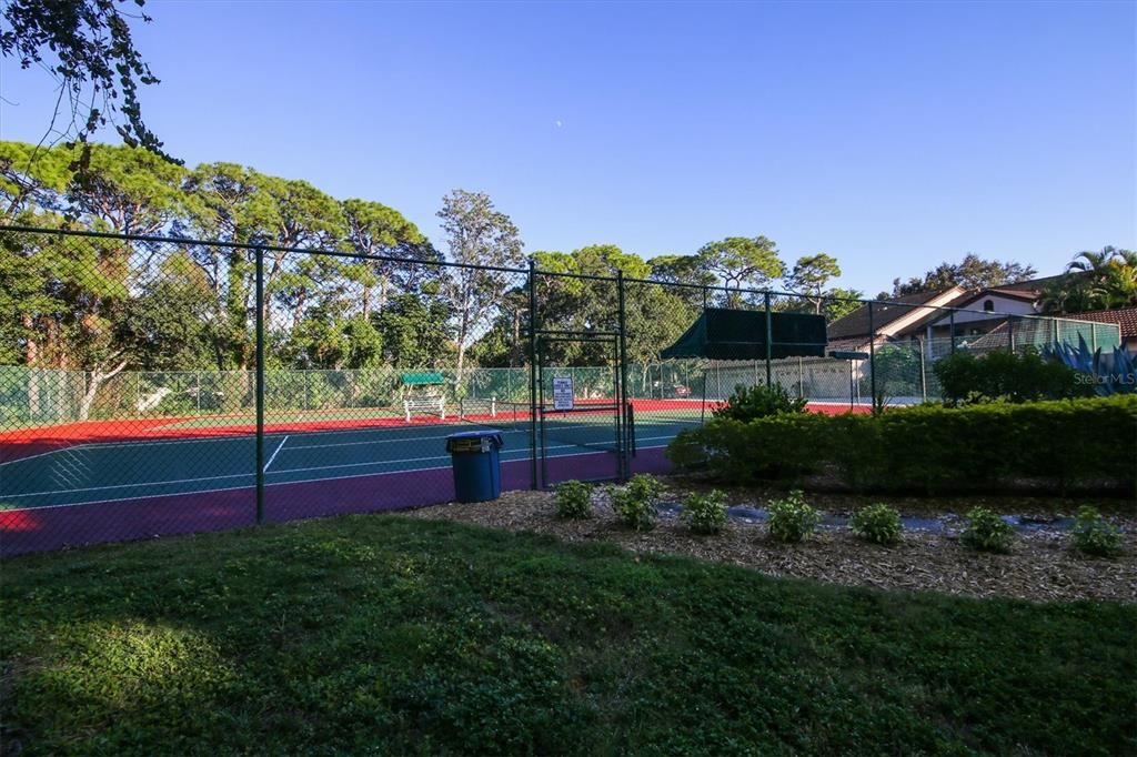 Exterior, Tennis Courts