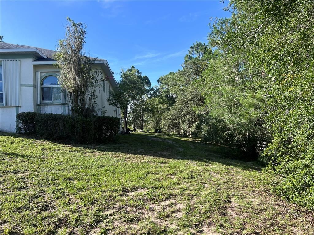 Backyard, Exterior
