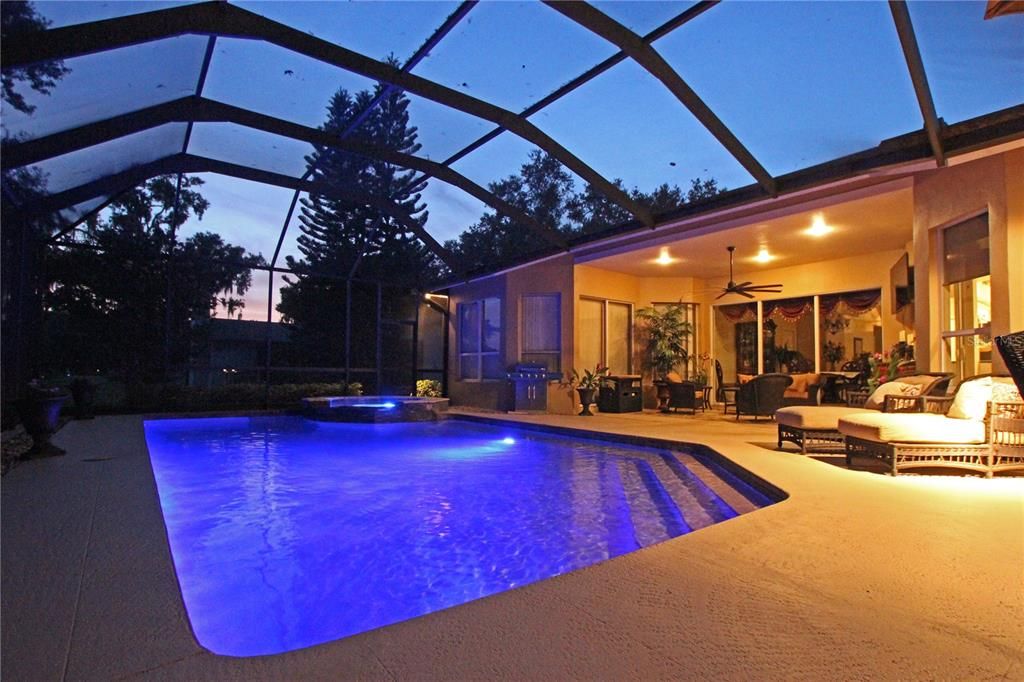 Glass Ceilings, Interior, Pool, Sun Room