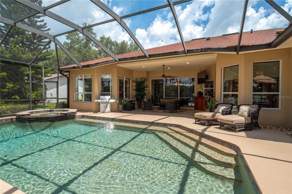 Glass Ceilings, Interior, Pool, Sun Room