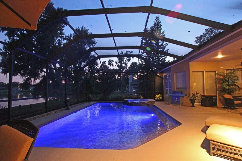Glass Ceilings, Interior, Pool, Sun Room