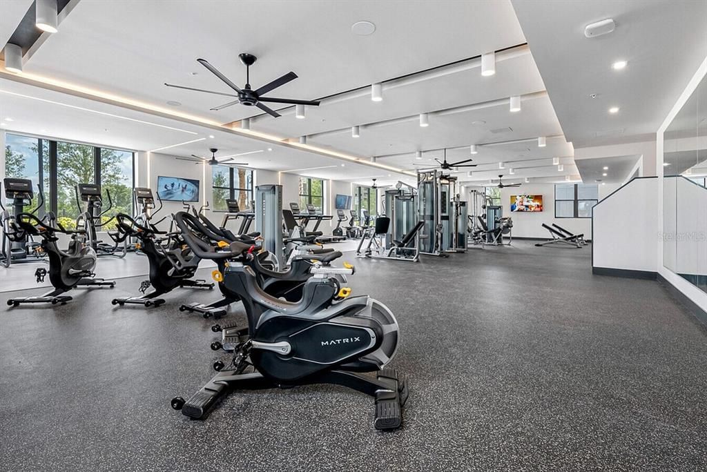 Fitness Equipment, Gym, Interior, Recessed Lighting
