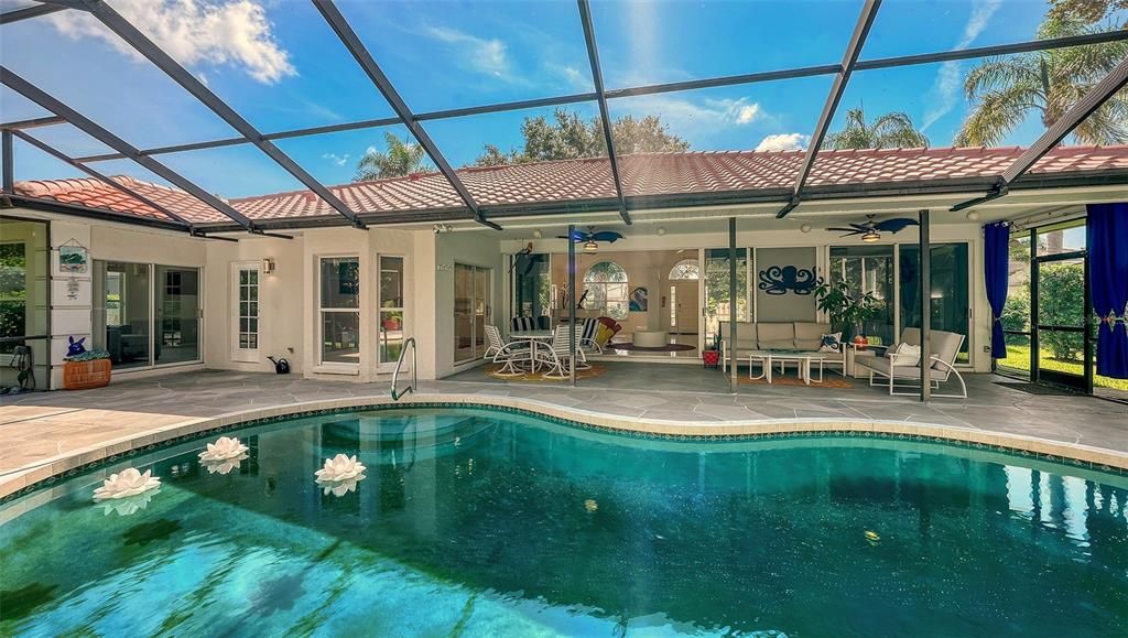 Glass Ceilings, Interior, Pool, Sun Room