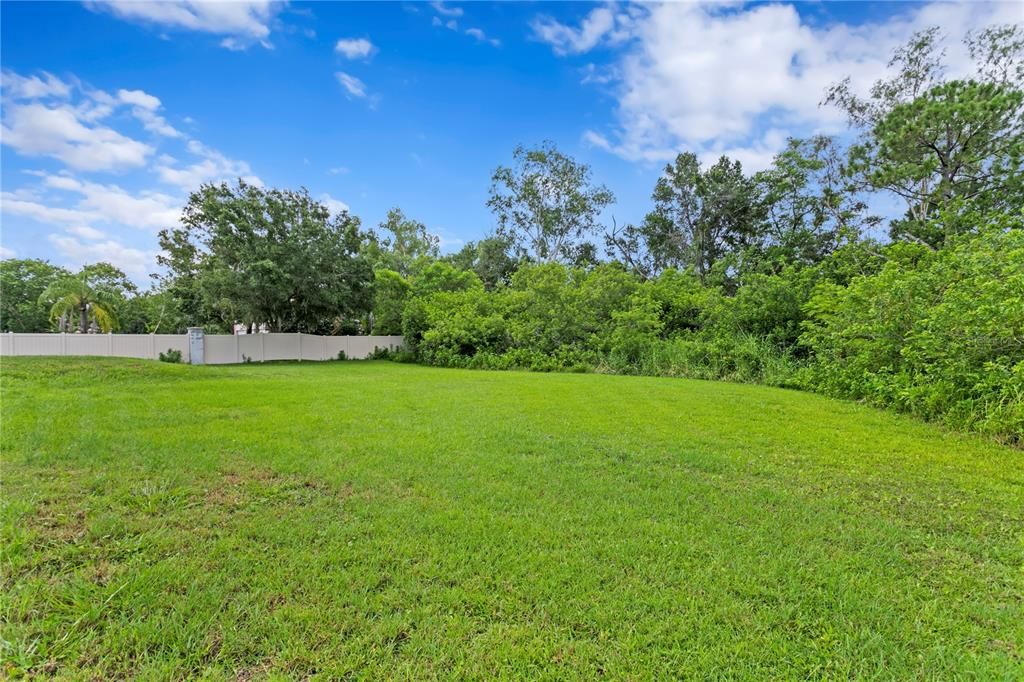 Backyard, Exterior