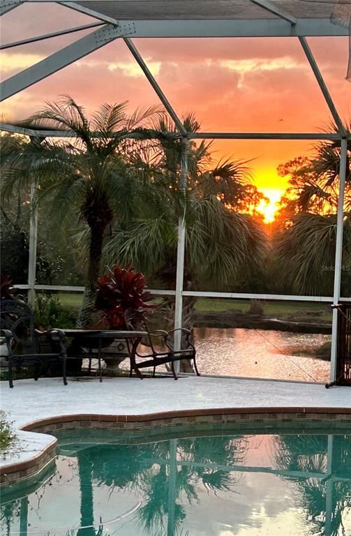 Glass Ceilings, Interior, Pool, Sun Room