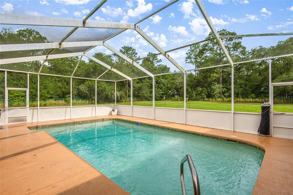 Glass Ceilings, Interior, Pool, Sun Room