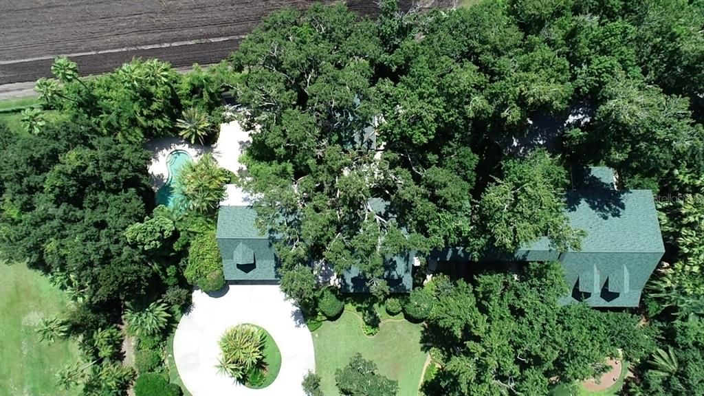 Exterior, Drone