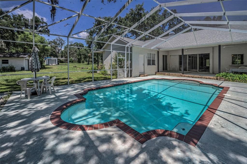 Glass Ceilings, Interior, Pool, Sun Room