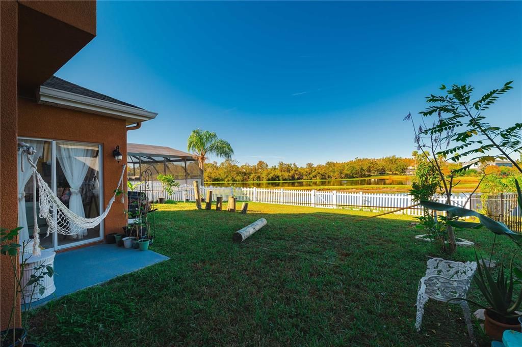 Backyard, Exterior, Water