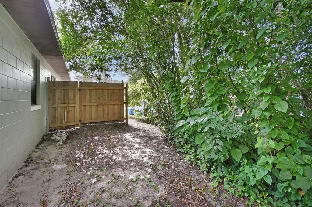 Backyard, Exterior