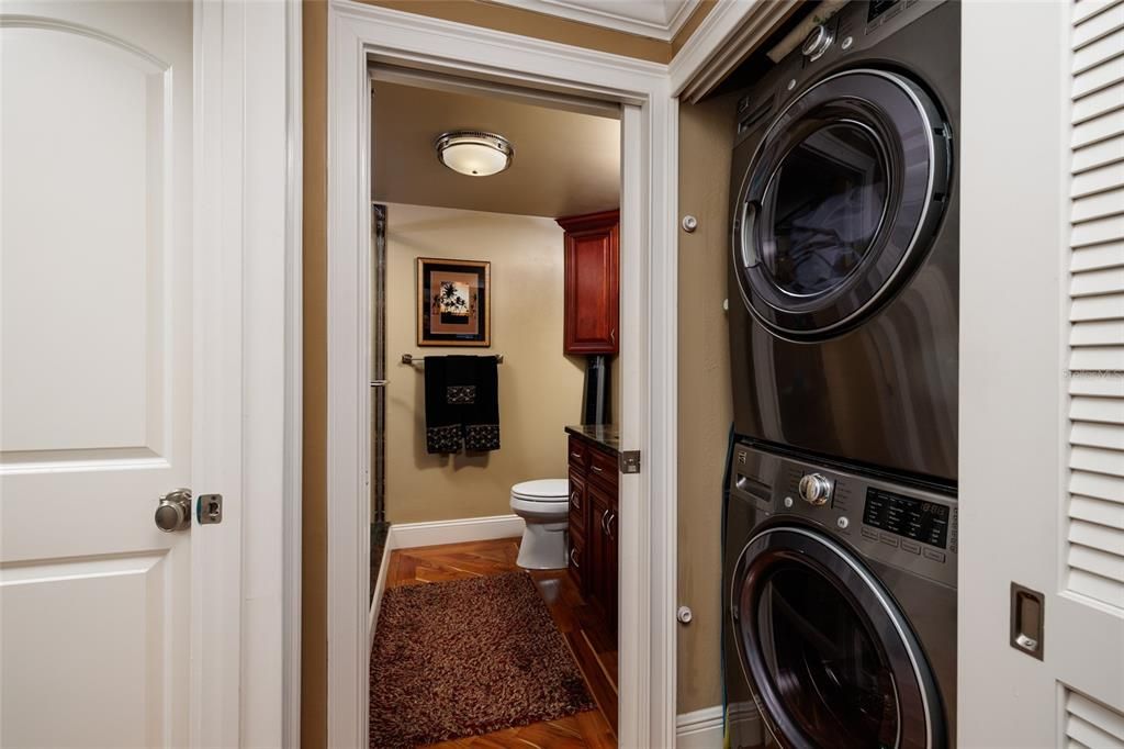 Bathroom, Interior, Utility Closets, Washer, Wood Texture Flooring