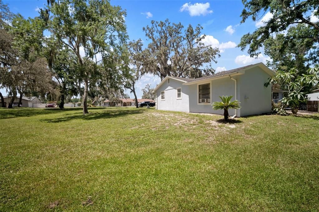 Backyard, Exterior