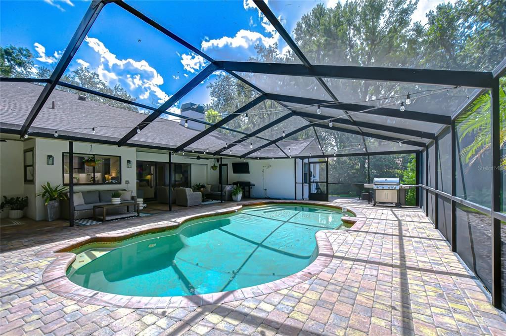 Glass Ceilings, Interior, Pool, Sun Room