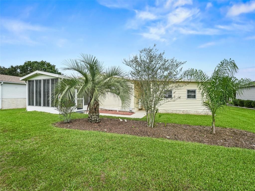 Backyard, Exterior